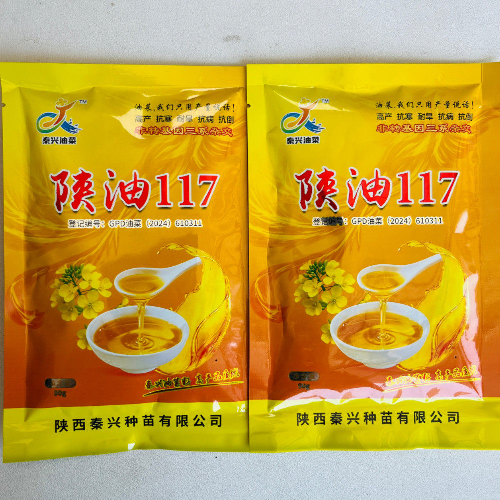 陕油117油菜种子三系杂交