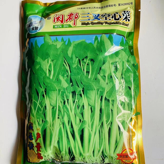 闽都三叉空心菜种子菜籽竹叶空心菜种籽四季阳台盆栽高产蔬菜种籽