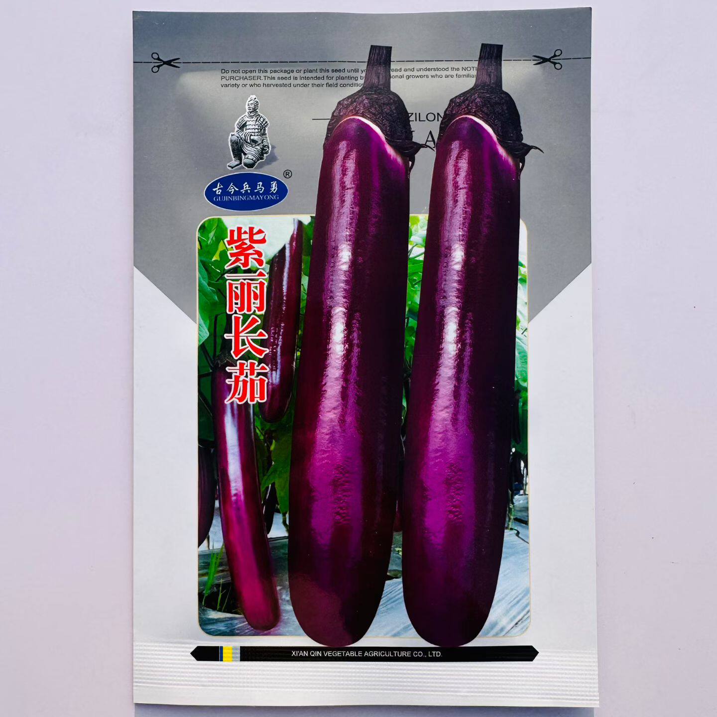 紫丽紫红长茄种子早熟长