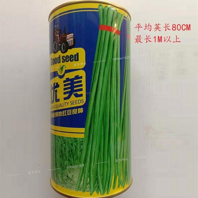 早熟青条豇豆种籽特长豇豆角种子夏季春秋季蔬菜种孑拖车头惊喜88
