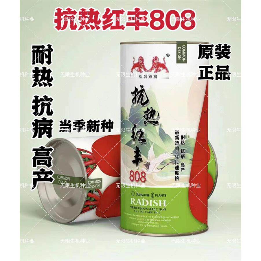 抗热红丰808萝卜种子春夏