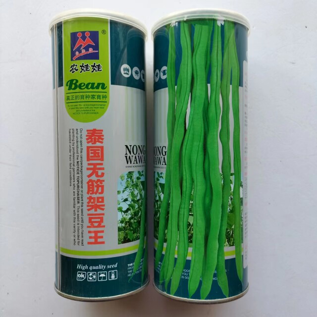 泰国无筋架豆王种子 荚嫩无筋结荚率高 春秋 四季豆 菜豆无筋豆种
