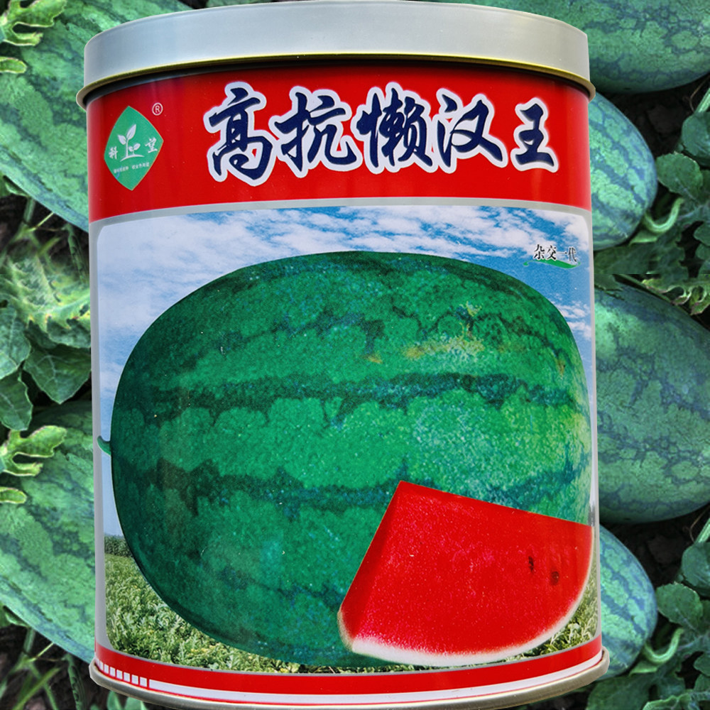 高抗懒汉王西瓜种子 大红瓤超大高产抗病抗裂西瓜种籽早熟口感好