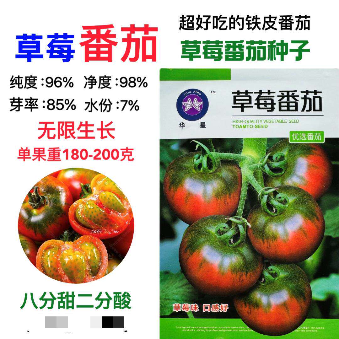 华星草莓番茄种子超甜铁