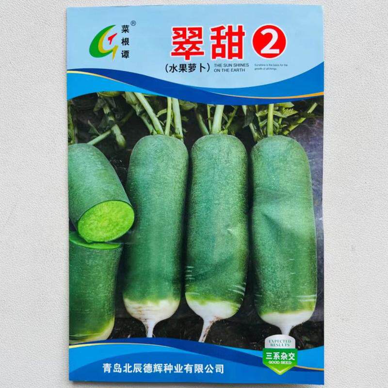 翠甜2号水果萝卜籽秋季种