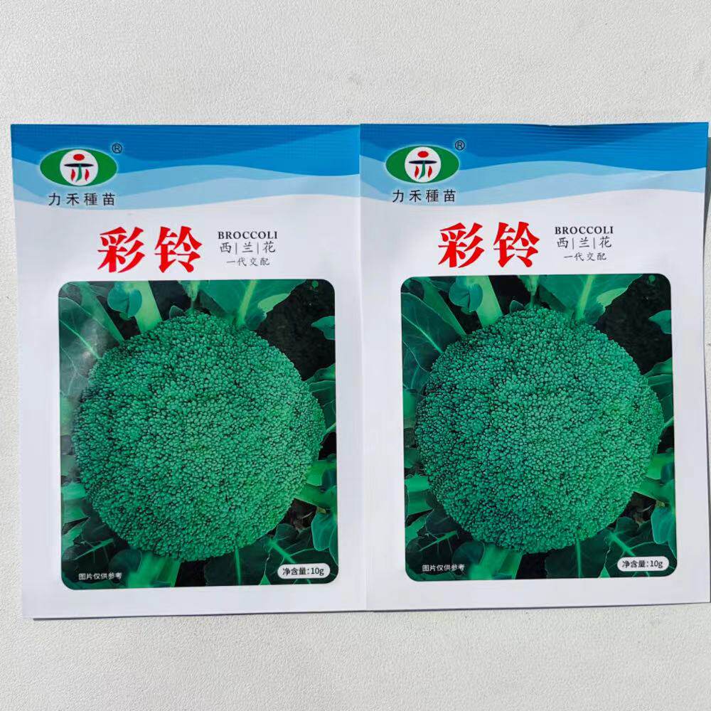 彩铃西兰花种子植株直立