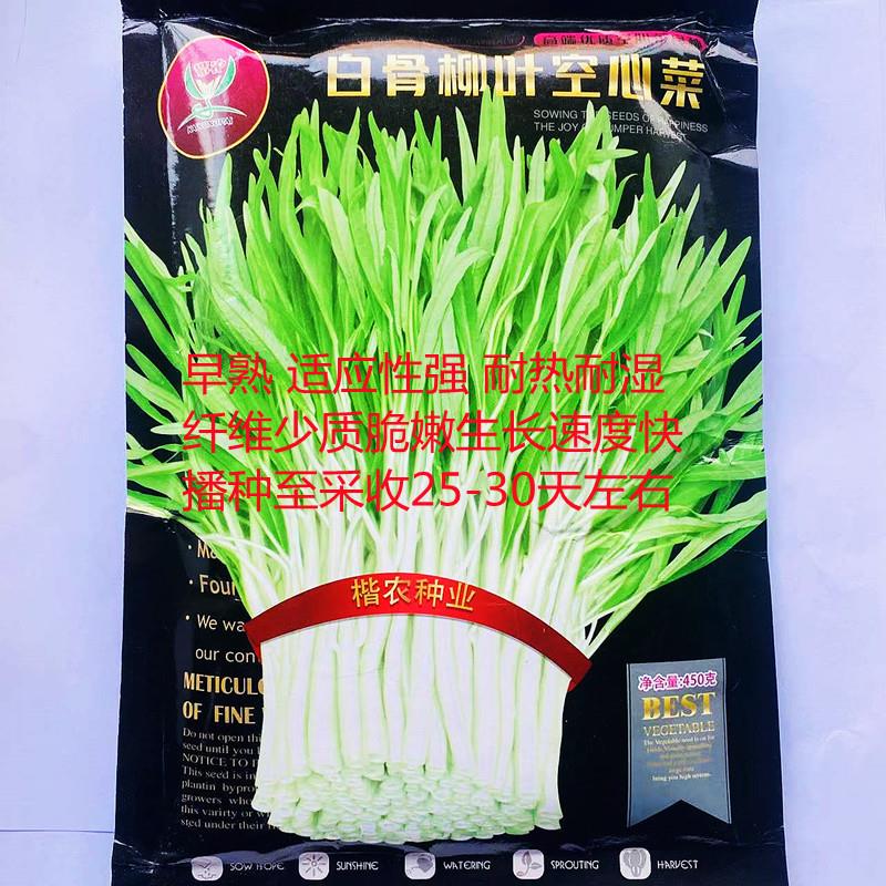 白骨柳叶空心菜种子白梗蕹菜通心菜白根白骨农家四季阳台蔬菜种籽