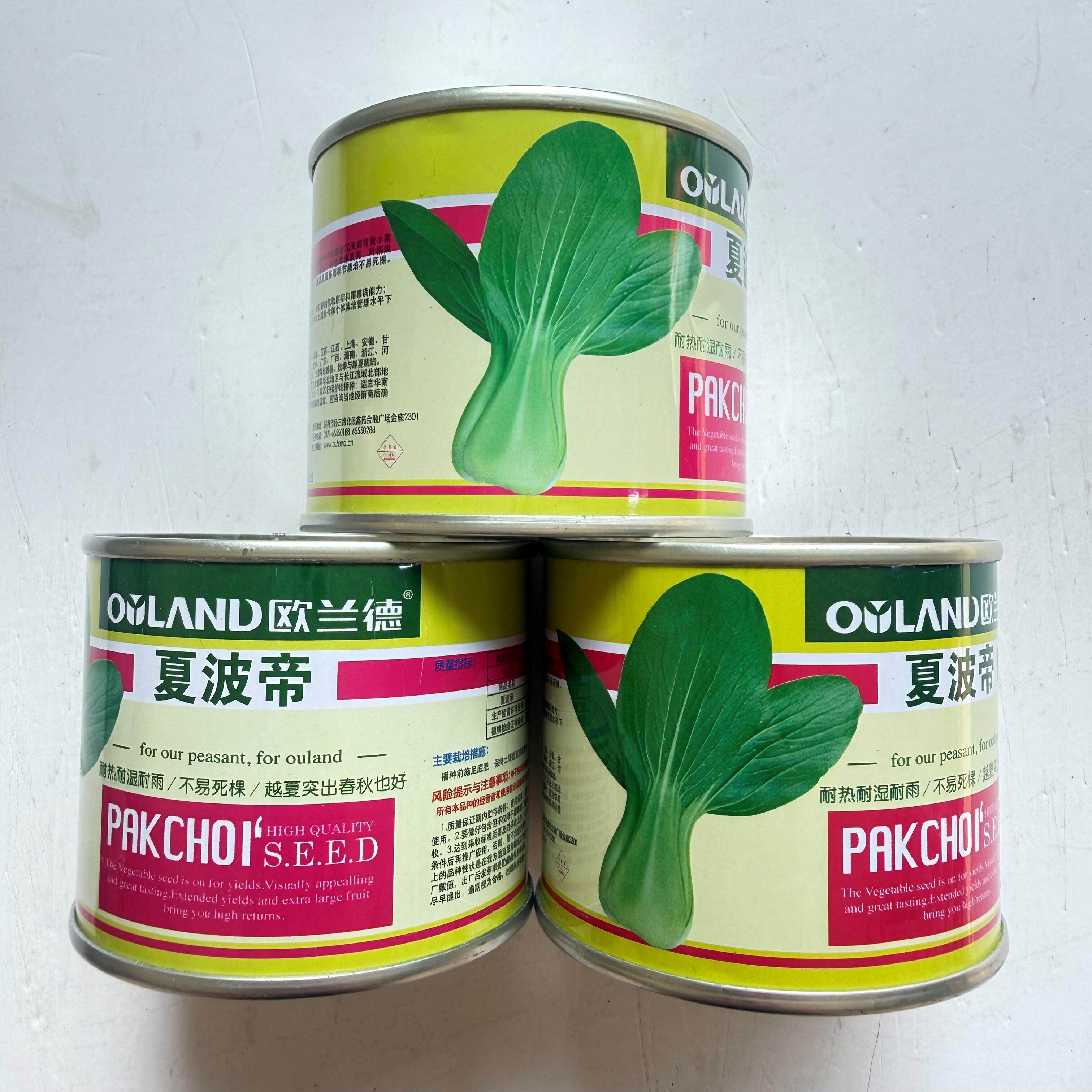 欧兰德夏波帝青梗菜种子