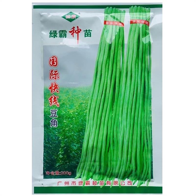 绿霸种苗国际快线长豆角种子高产耐热性好长豇豆种子夏秋季豆角种