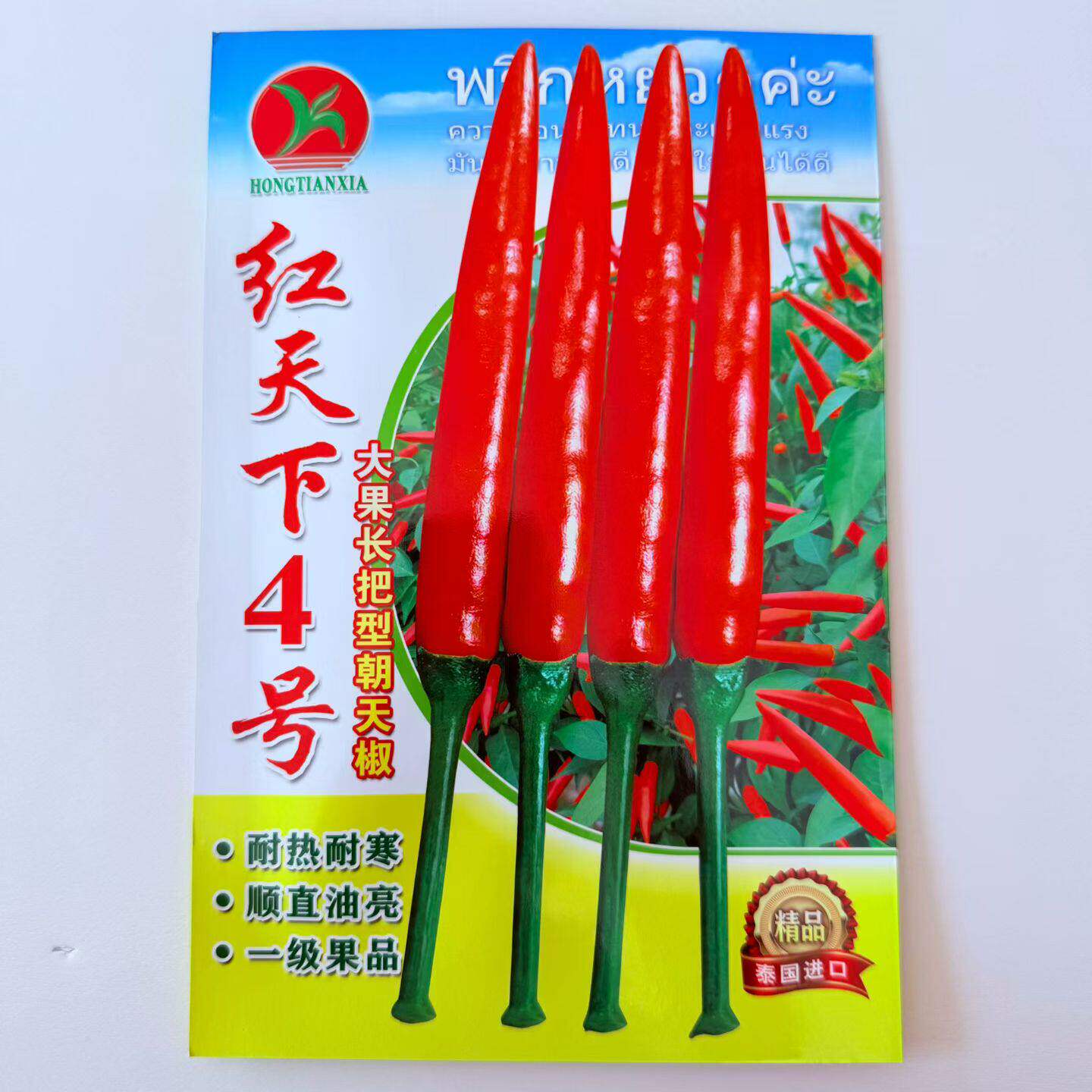 红天下4号朝天椒种子一代