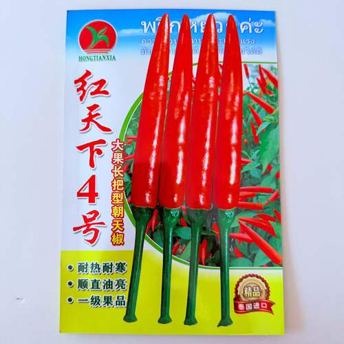 红天下4号朝天椒种子一代