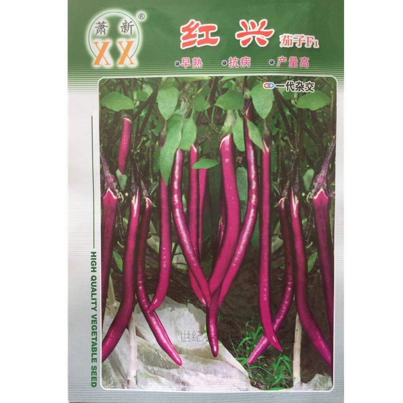 萧新 红兴F1 紫红色长线茄子春夏秋季大田基地种植专用蔬菜种子籽