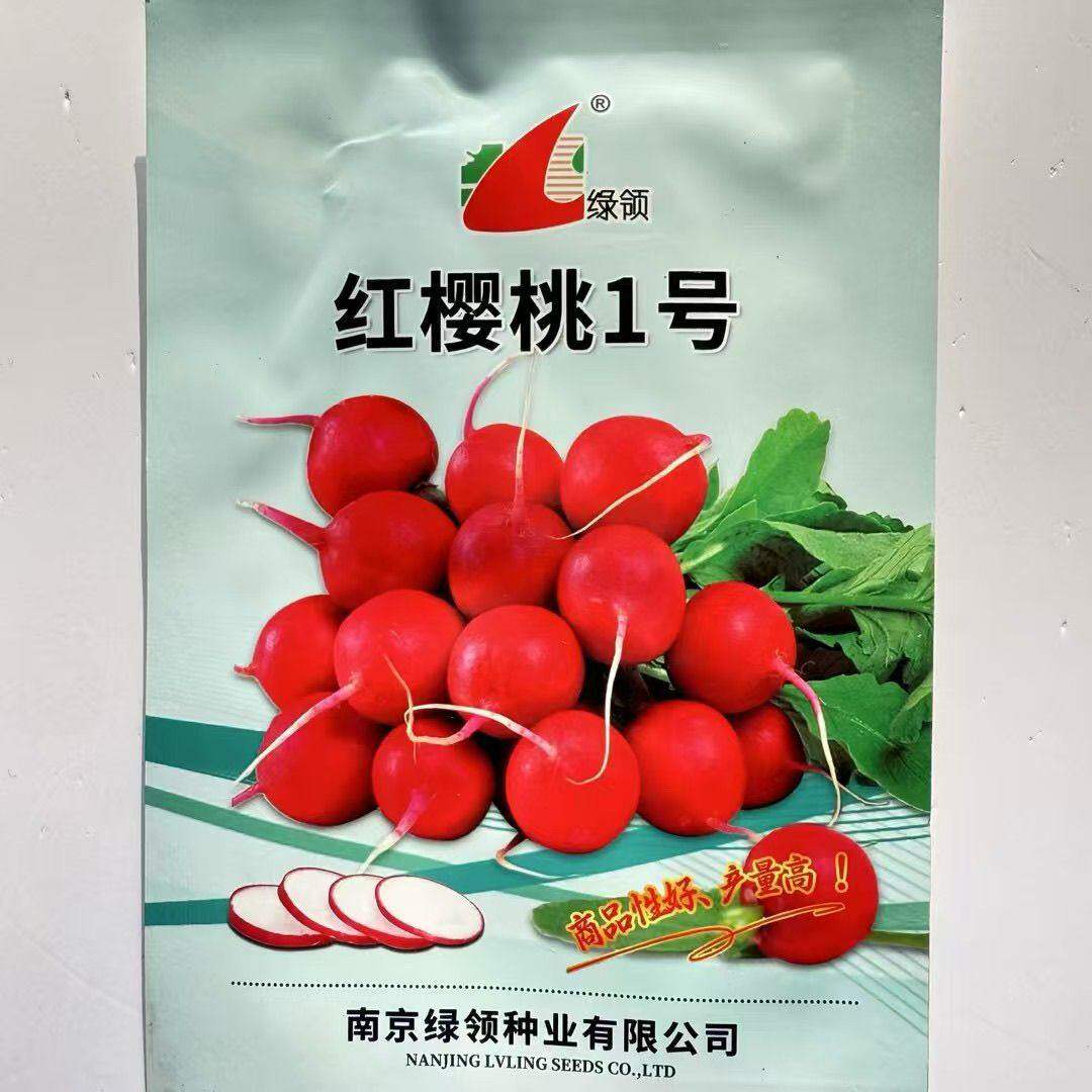 红樱桃1号萝卜种子小水果