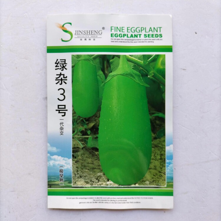 绿杂三号茄子种子绿长茄种籽青圆茄种籽早熟高产绿茄籽籽四季播