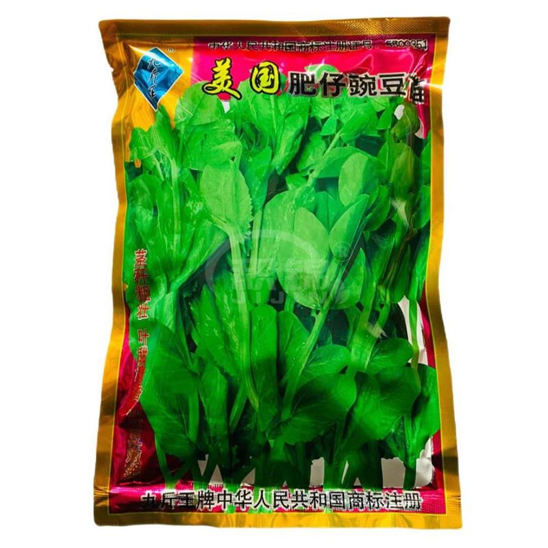 九斤王肥仔豌豆苗种子四季碗豆尖甜豌豆种籽无须荷兰盆栽蔬菜种籽