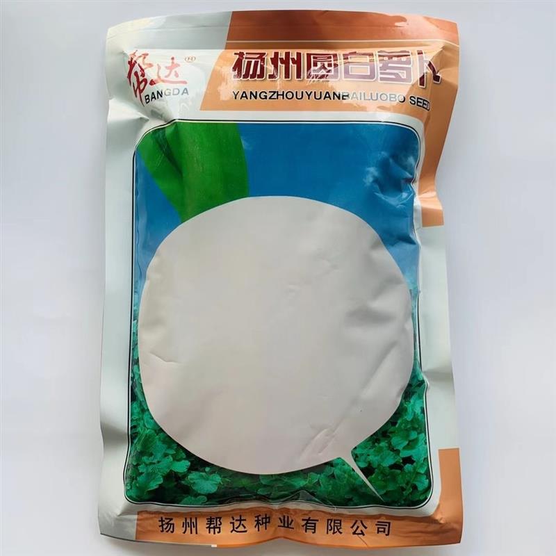 扬州圆白萝卜种子高产秋季萝卜种植种子原装袋装500g适合大面积种