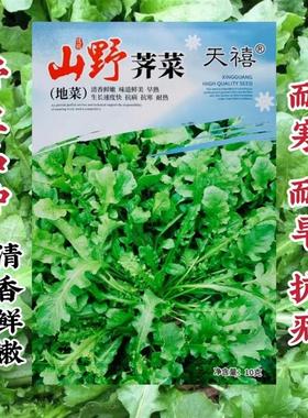 绿色野生蔬菜种子山野荠菜种子地菜荠荠菜种籽秋季耐寒耐旱野菜籽