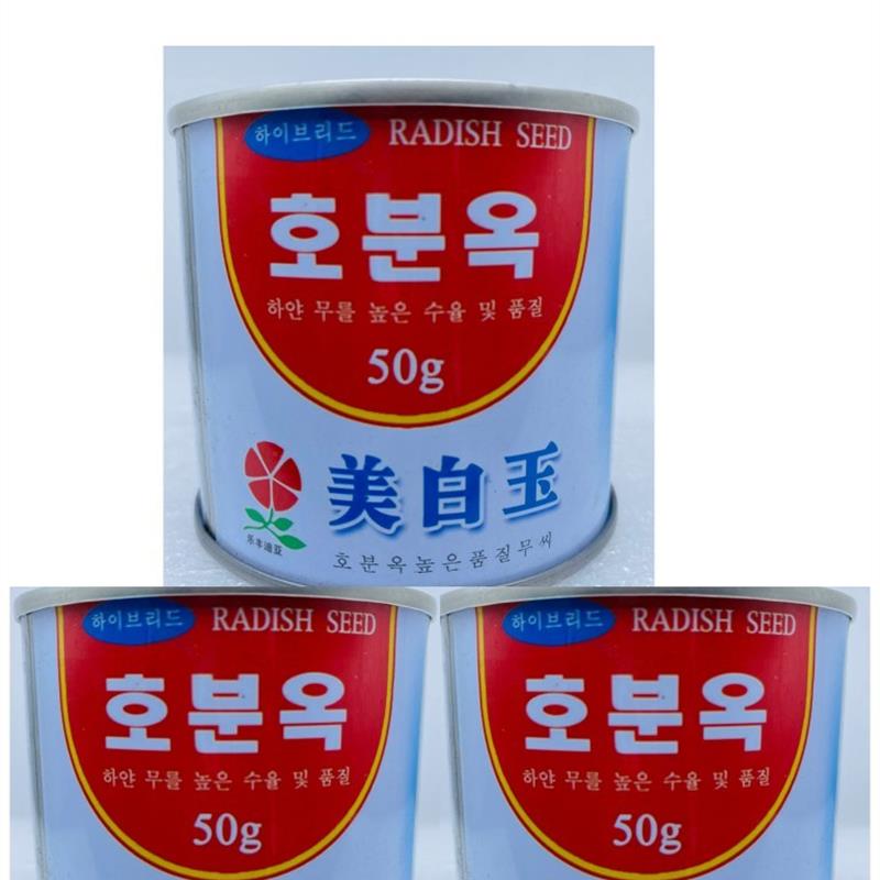 韩国进口春白玉美白103萝卜种子 四季播 耐抽薹 高产抗病蔬菜种籽