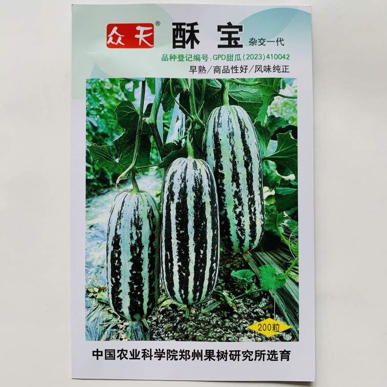 众天酥宝甜瓜种子香瓜种籽花皮薄皮脆甜早熟甜度高四季水果芝麻蜜