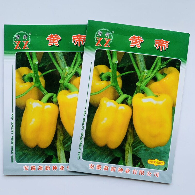 萧新黄帝帝王灯笼椒种子五彩甜椒彩色圆明珠种籽黄红绿辣椒蔬菜种