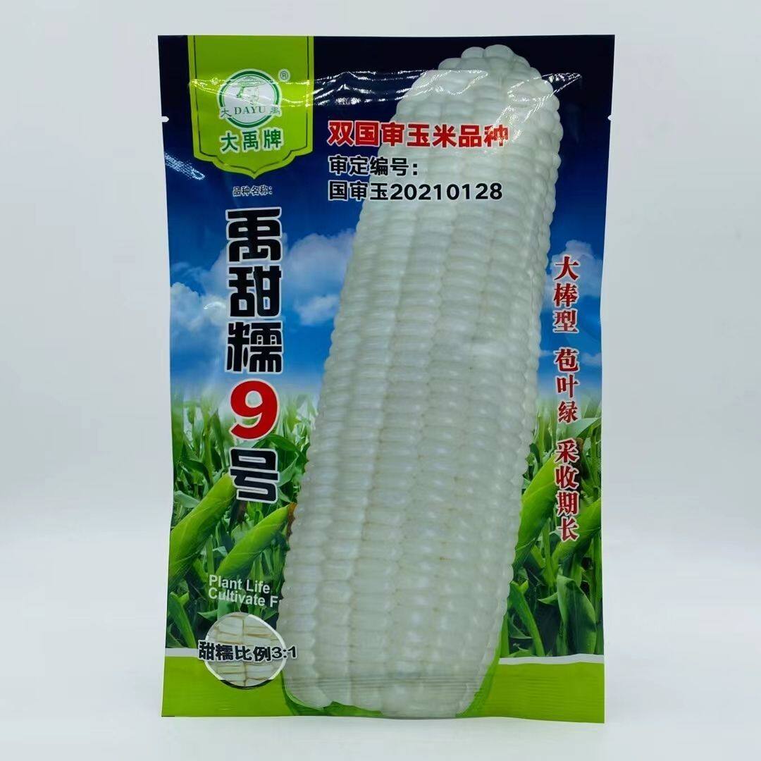 大禹禹甜糯9号白玉米种子