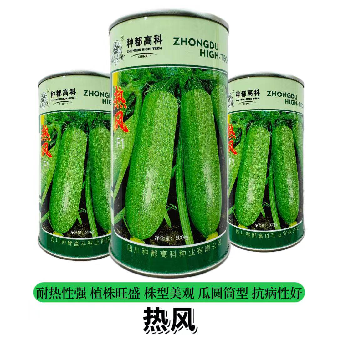 种都高科西葫芦种子肉质