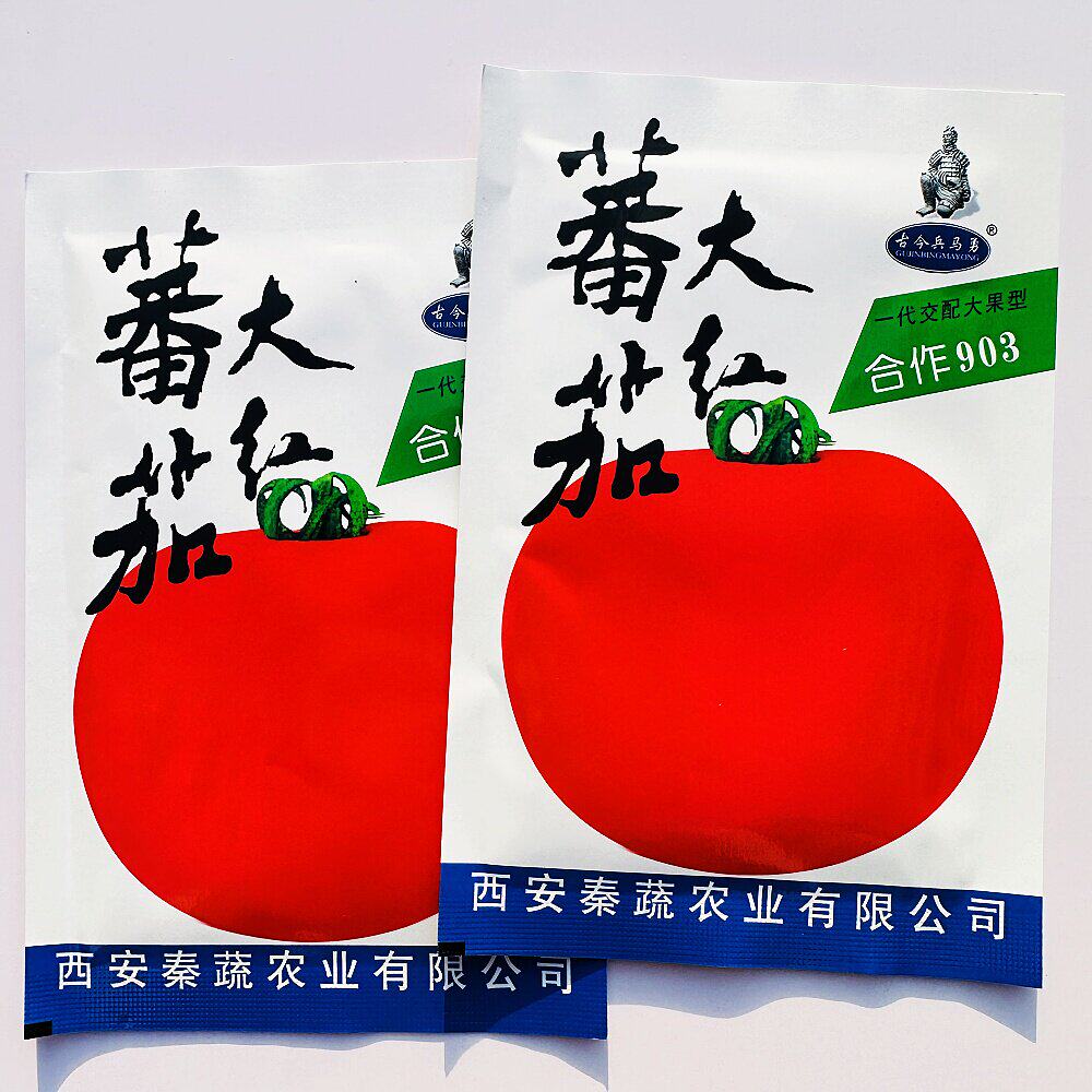 合作903大红番茄种子抗病