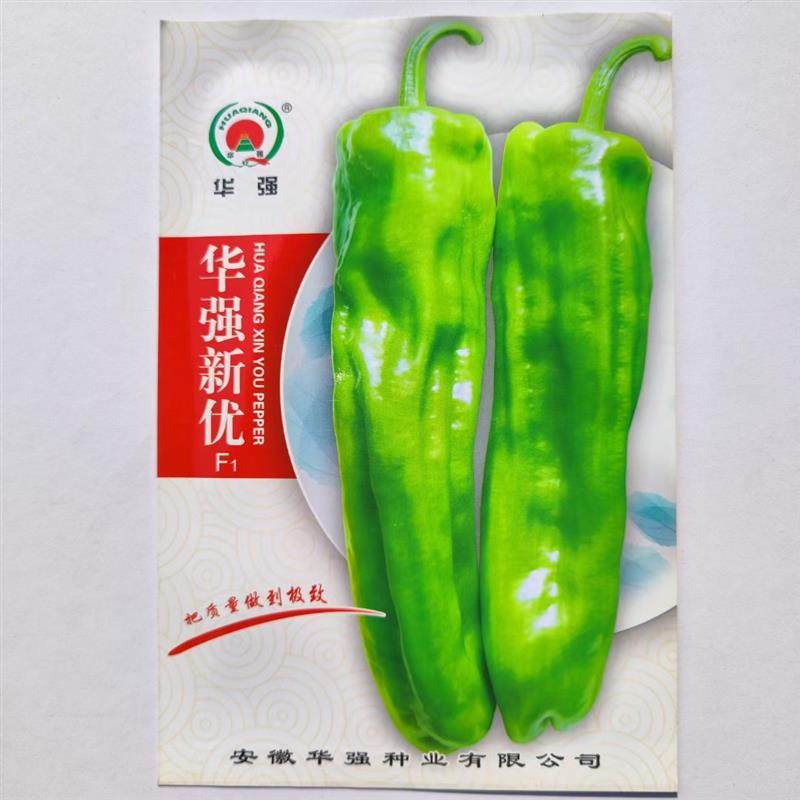 新优辣椒种子蔬菜中早熟大果薄皮椒种籽青果黄绿色微辣春秋播高产