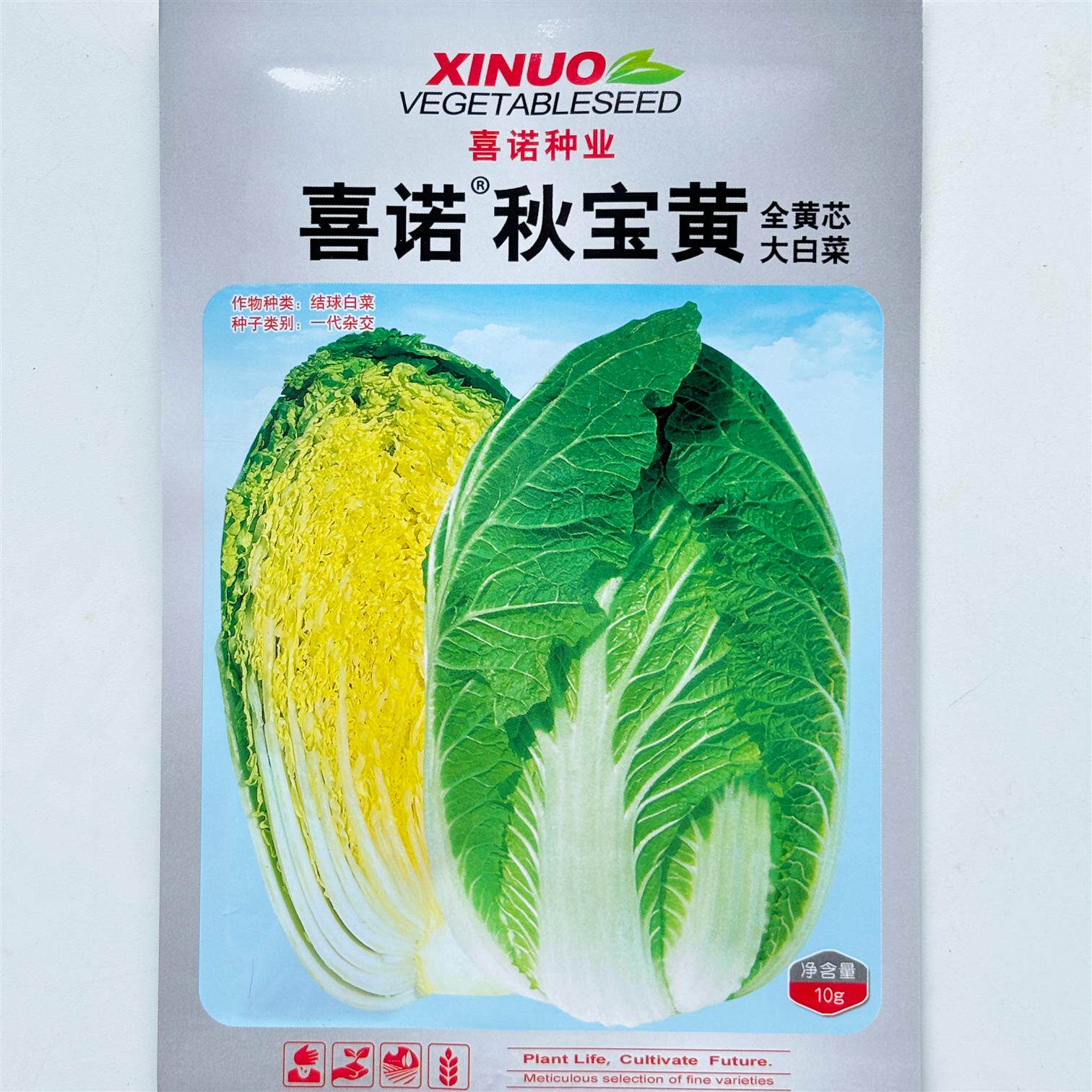 喜诺秋宝黄大白菜种子高