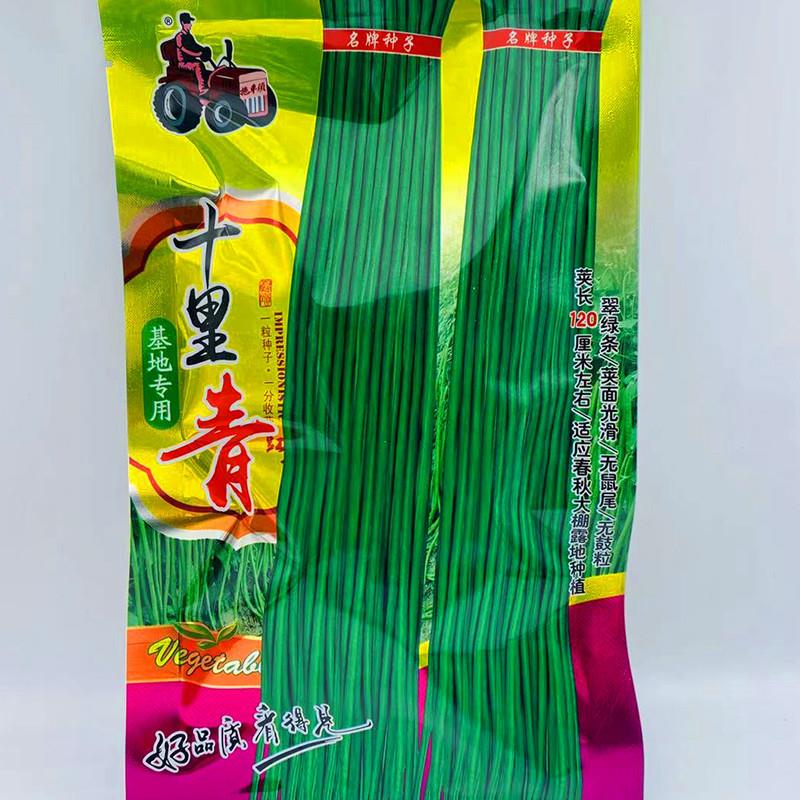 拖车头十里青豆角种子高产豇豆种籽绿条特长芸豆春播架豆蔬菜种孑
