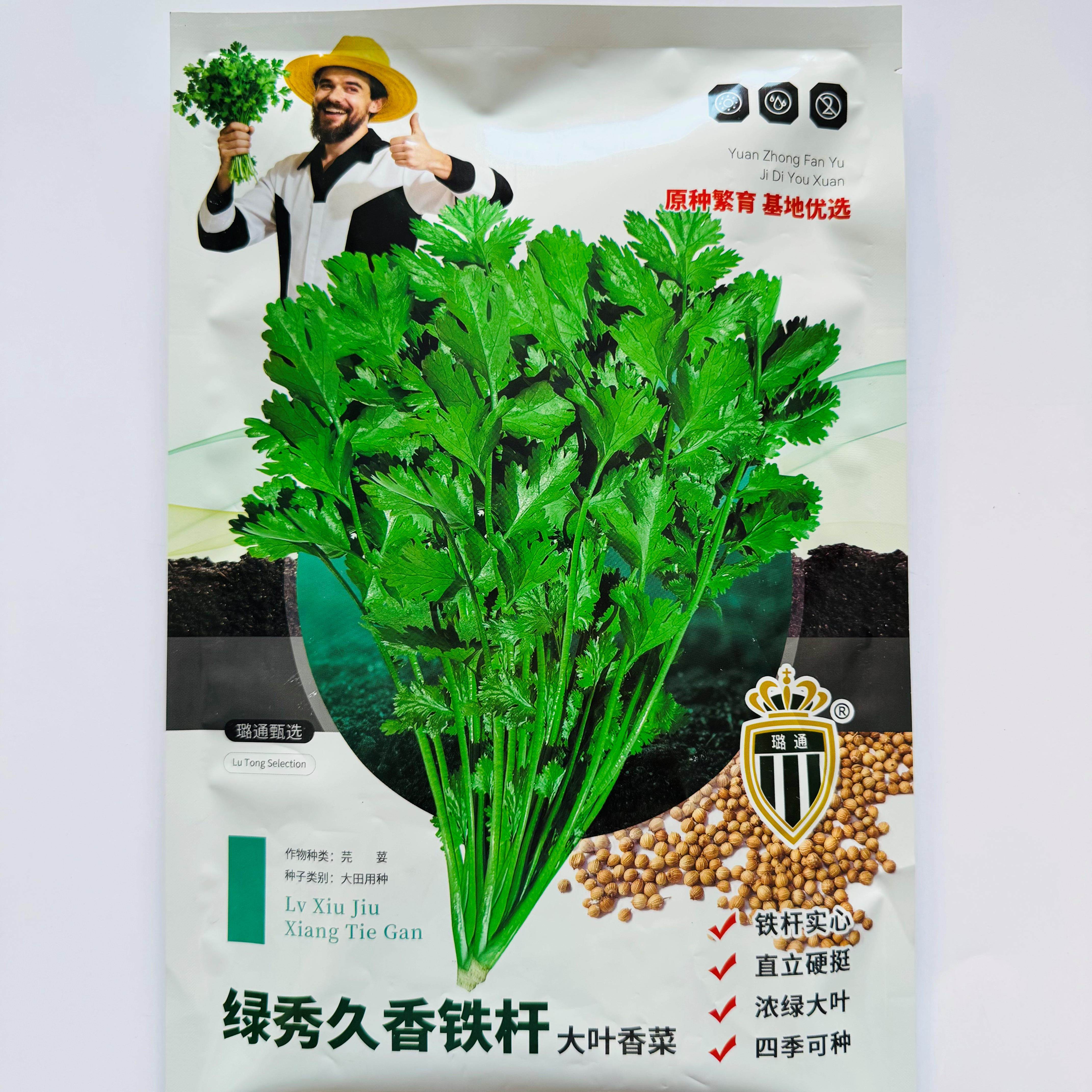 绿秀久香铁杆大叶香菜种