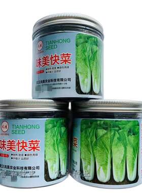 味美快菜种子四季速生快菜种子无毛油亮白菜种籽耐热耐湿耐雨水丰