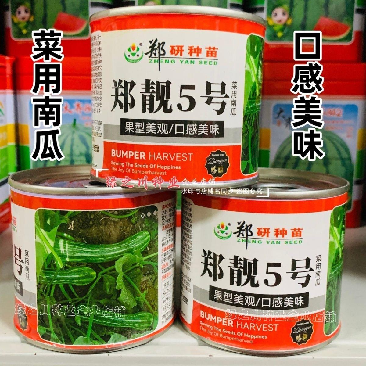 郑靓5号菜用南瓜种子早熟长圆条形南瓜春秋七叶早花皮菜南瓜种籽