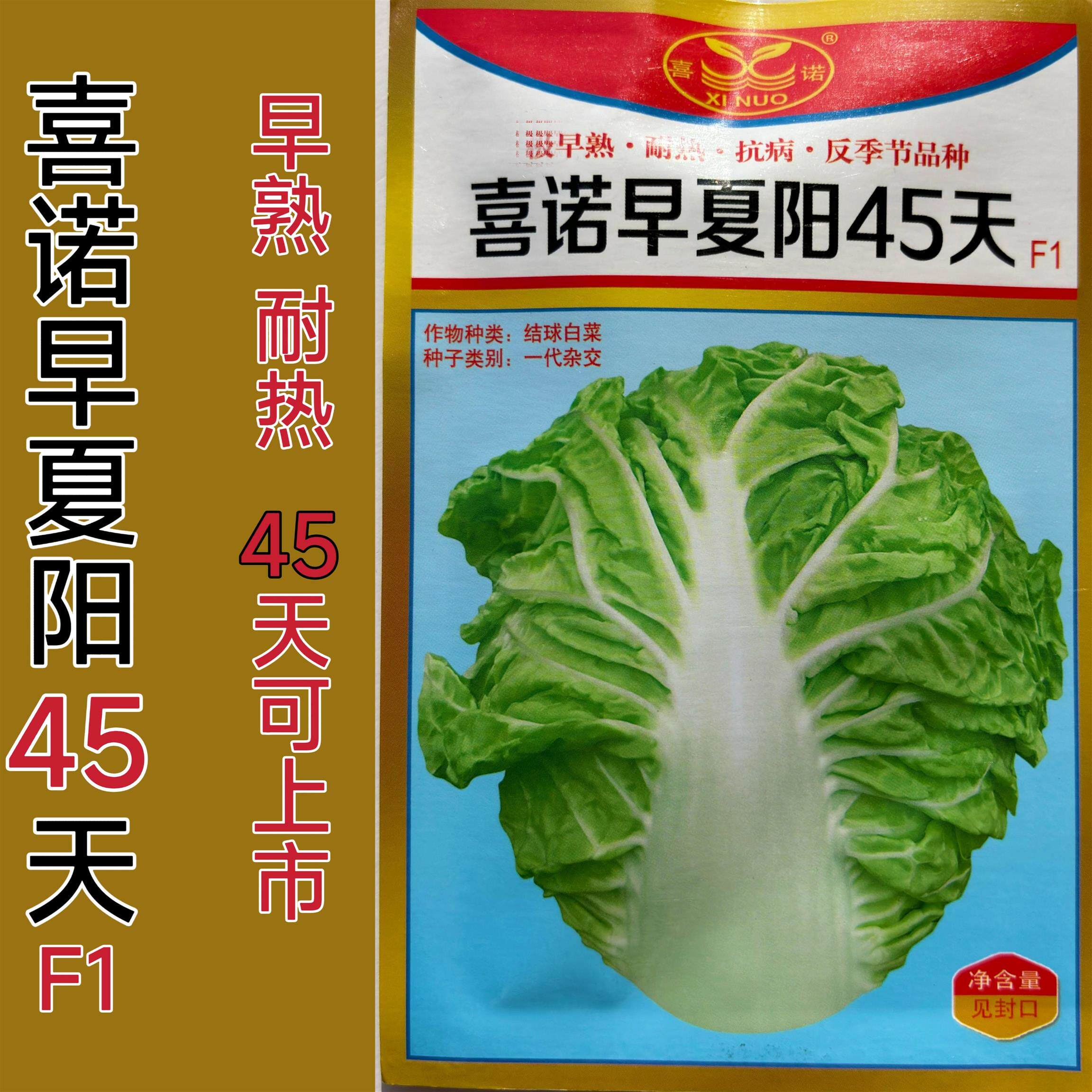 喜诺早夏阳45天大白菜种