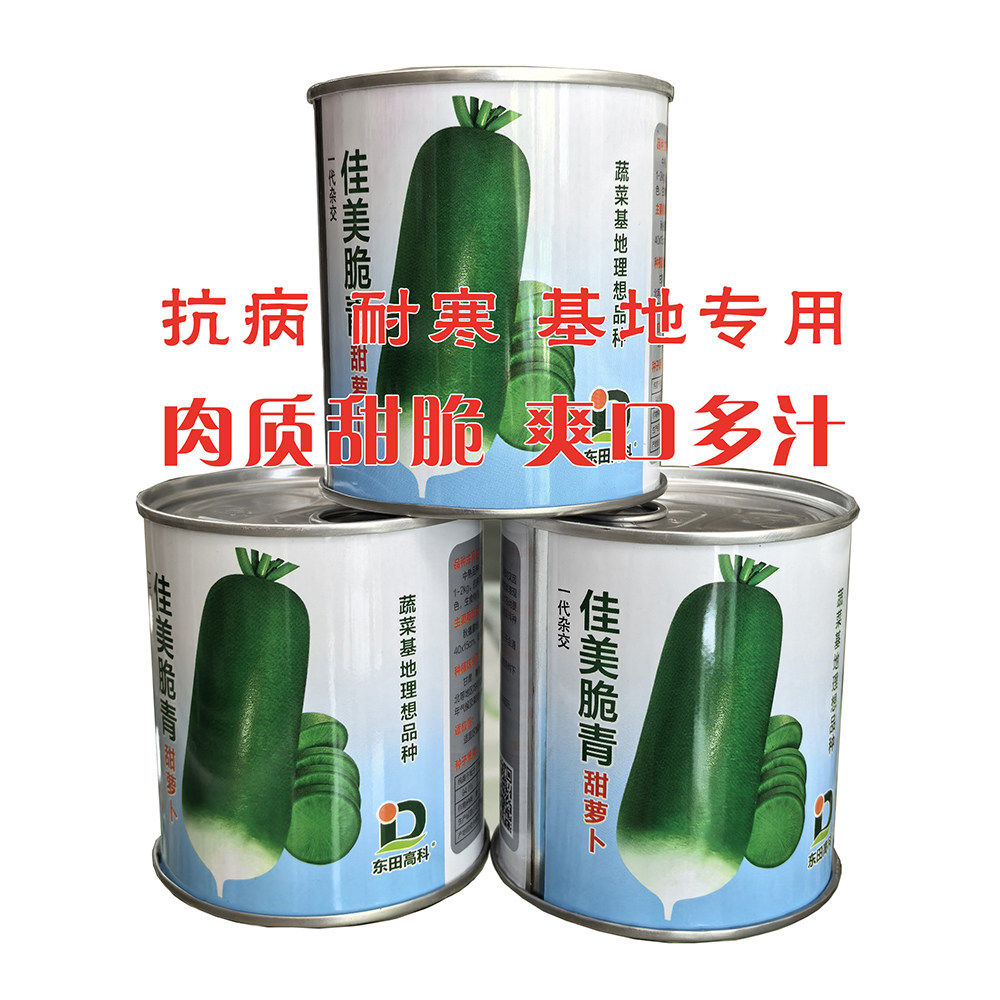 佳美脆青甜萝卜种子水果