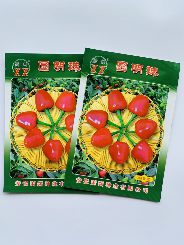 萧新草莓椒种子 特辣圆形小辣椒种子 圆明珠适宜干制腌制加工红椒