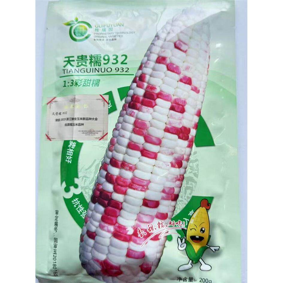 天贵糯932彩甜糯鲜食玉米