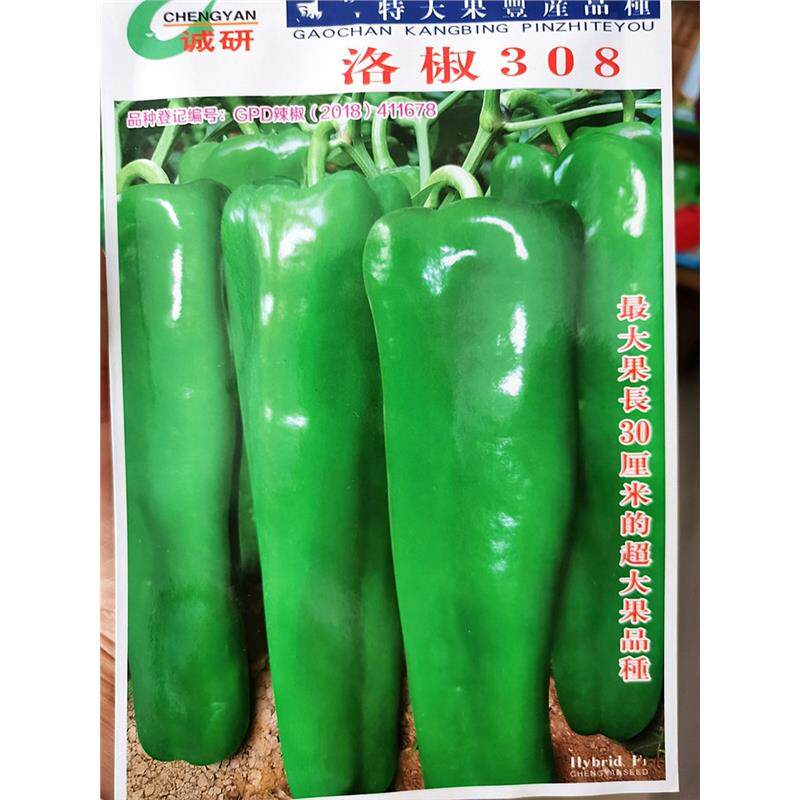 超大果型辣椒种子洛椒308