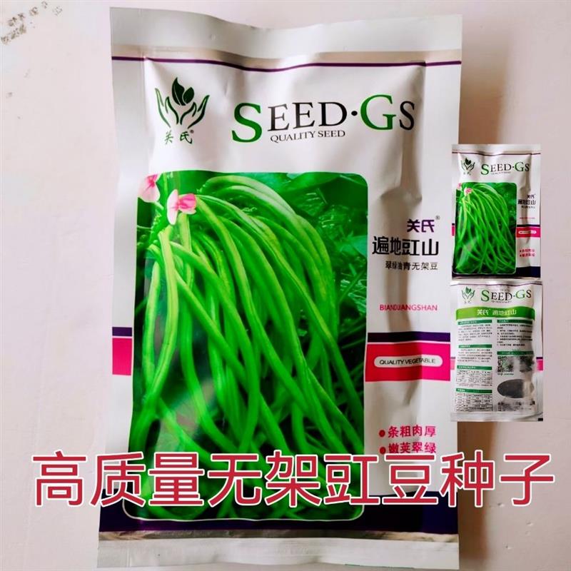 遍地豇山无架豆角种子豇豆种子翠绿色特长豇豆种籽高产春季秋