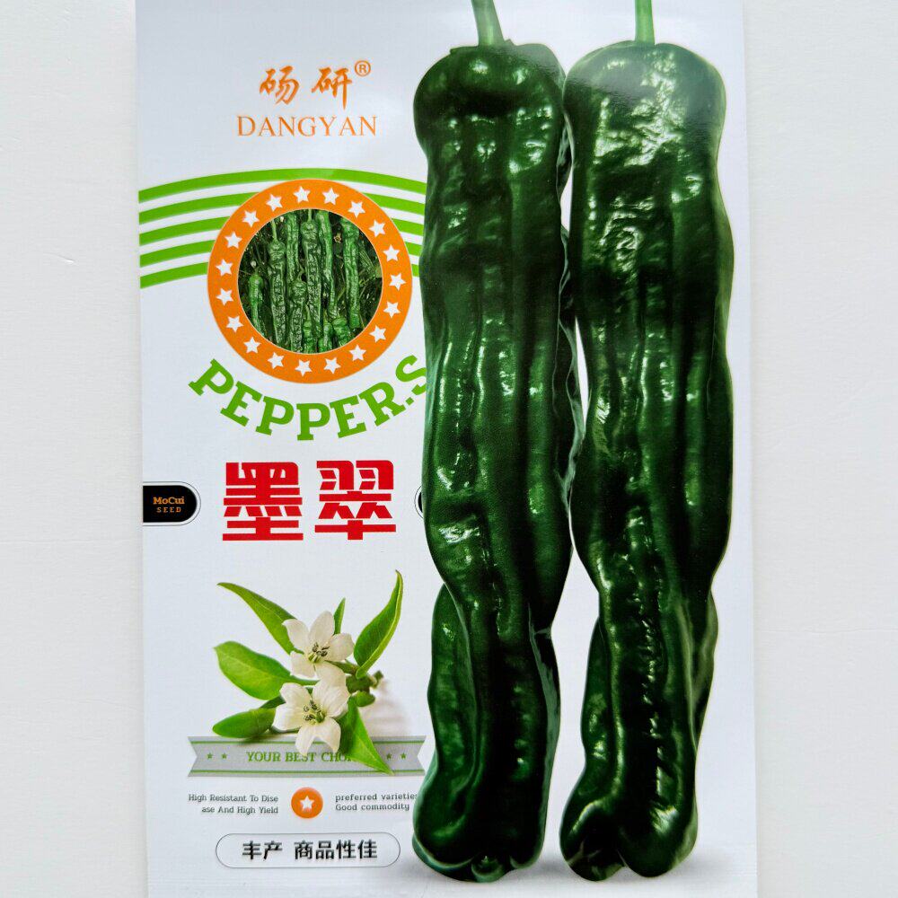 墨翠香辣皱皮椒种子抗病