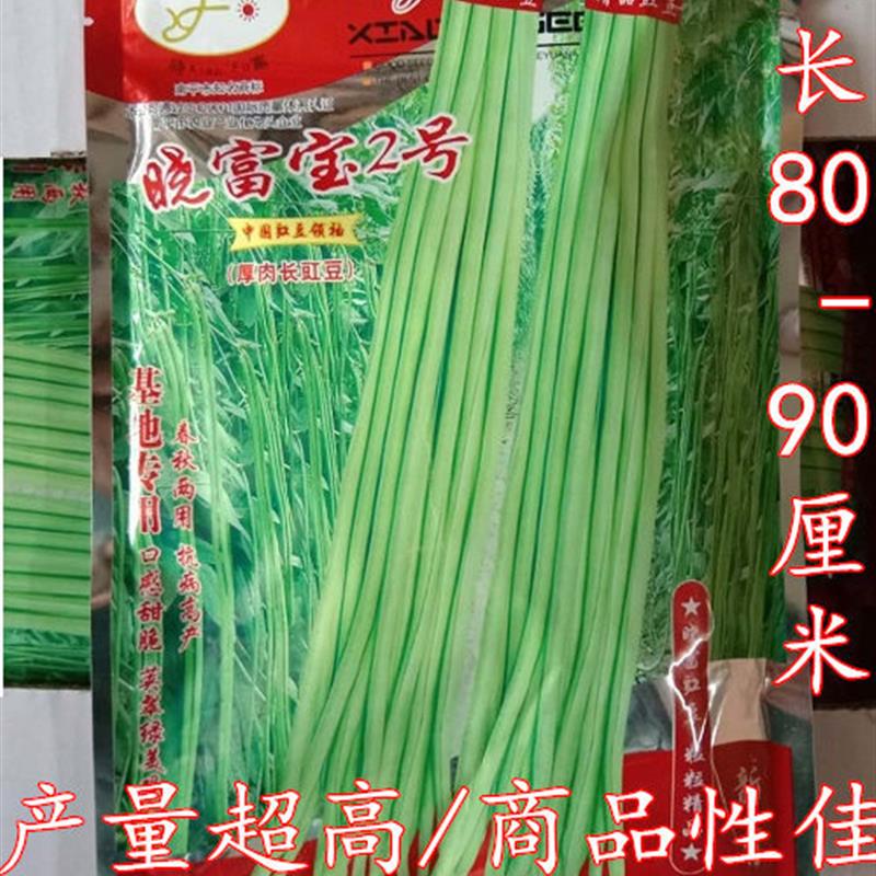 晓富宝2号豇豆种子特长春秋播高产长豆角种子农家架豆角蔬菜种籽