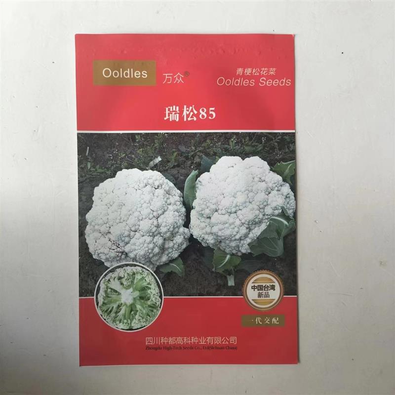 青梗松花菜种子瑞松85台湾引进有机花菜种籽耐寒高产农家春秋播种