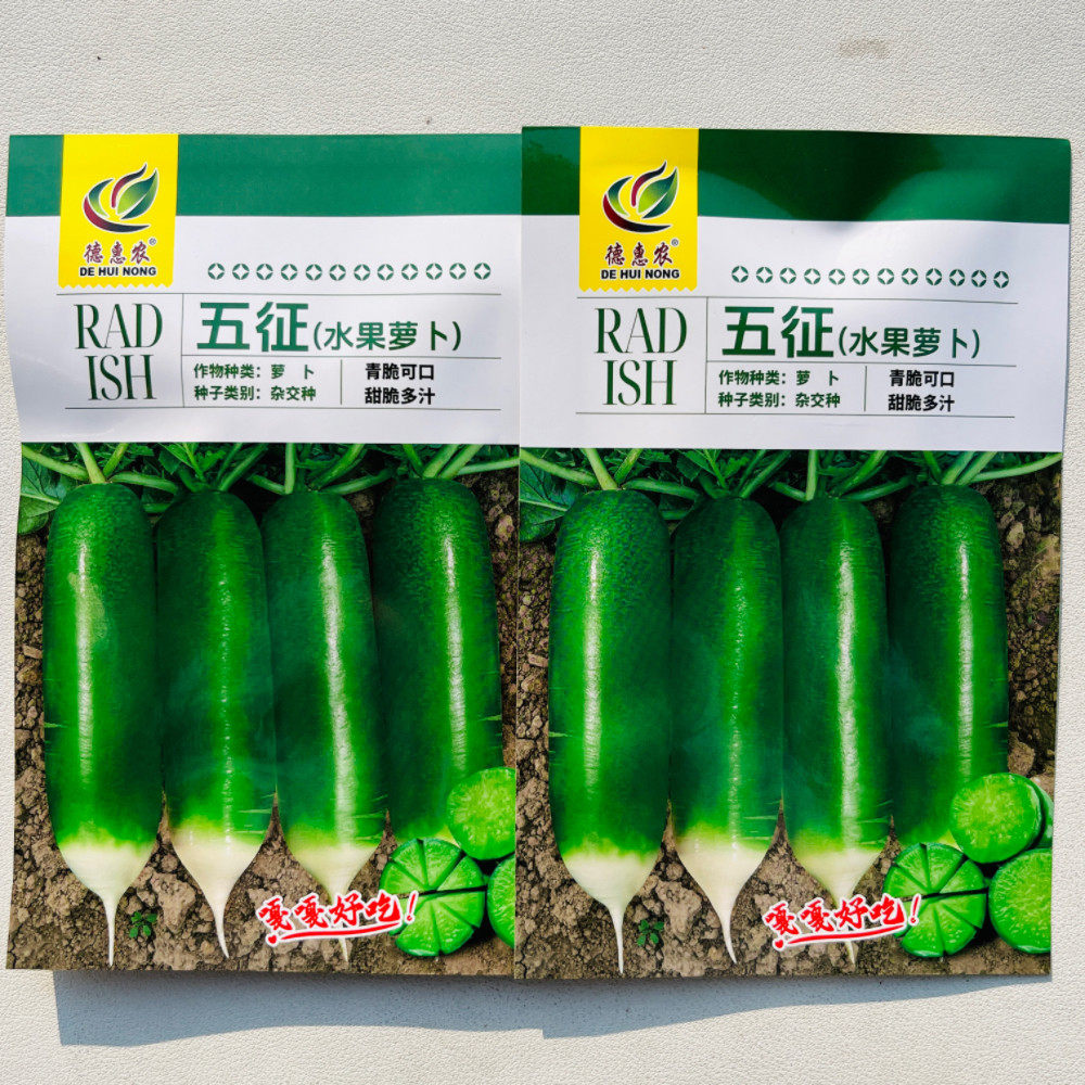 五征水果萝卜三系杂交种