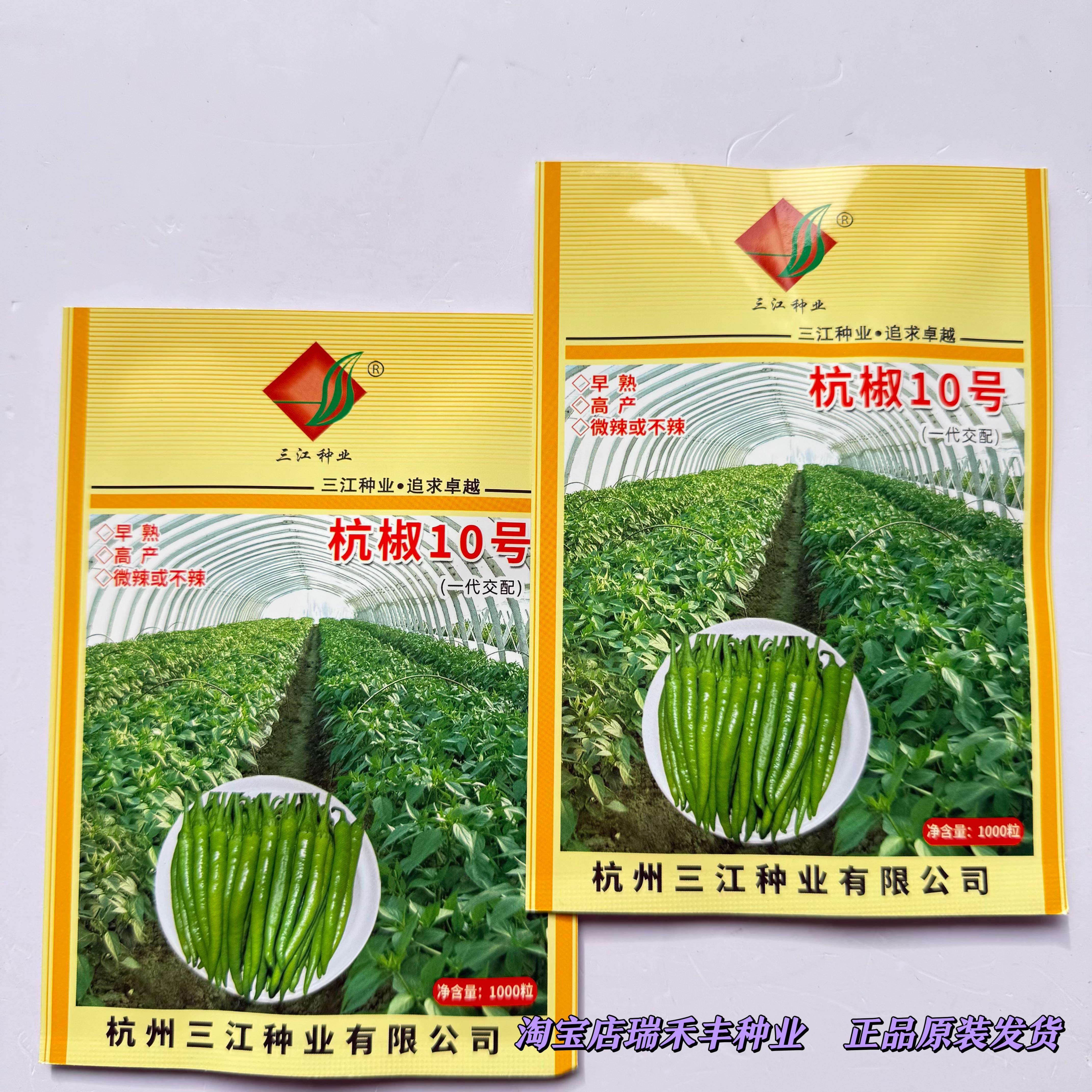 三江杭椒10号种子早熟杂