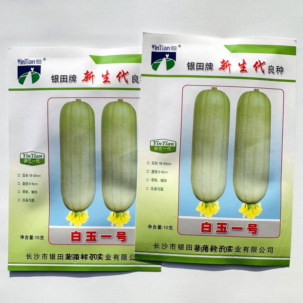 白玉一号白丝瓜种子杂交