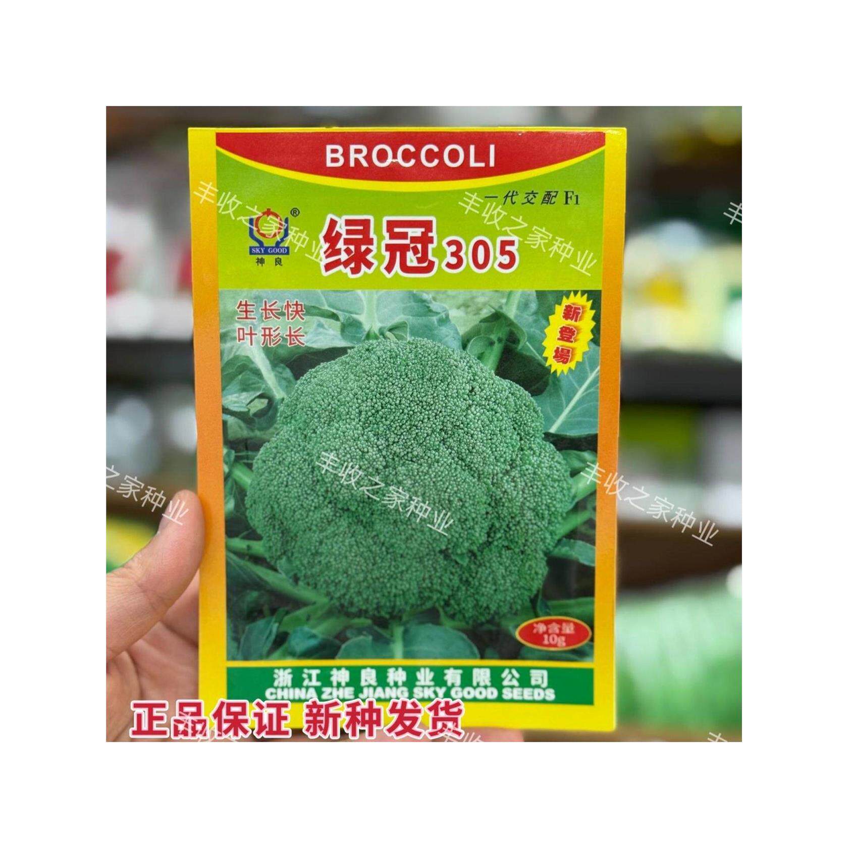 神良绿冠305西兰花种子青