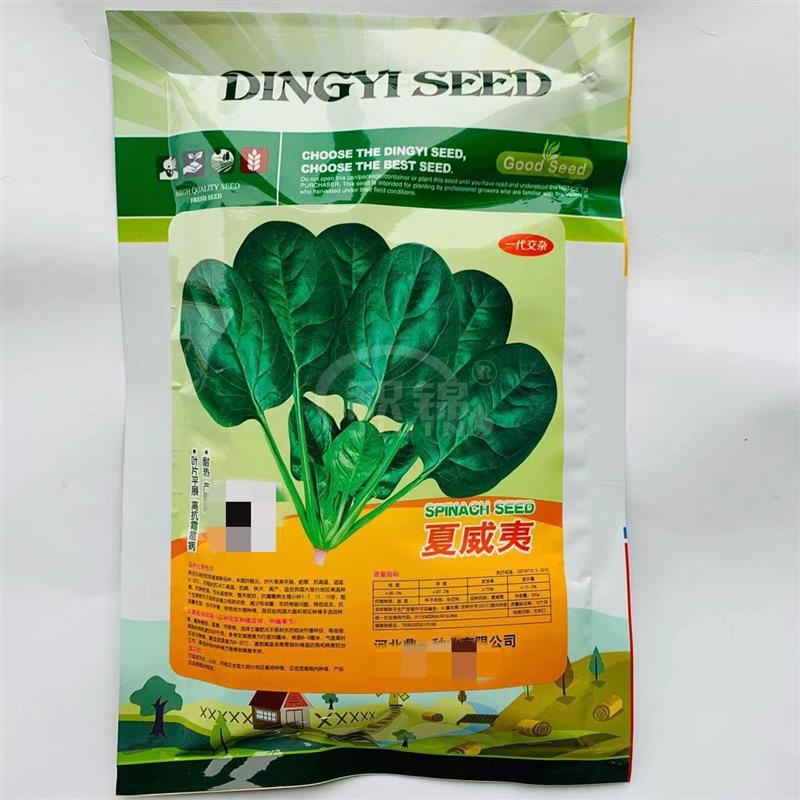 荷兰引进菠菜种子夏威夷耐热生长快高产抗病大田阳台易种蔬菜种籽