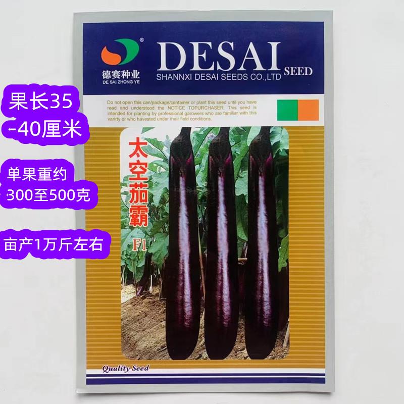 深紫色茄子中熟丰产耐高温耐储运适宜全国平原热带高山反季节播种