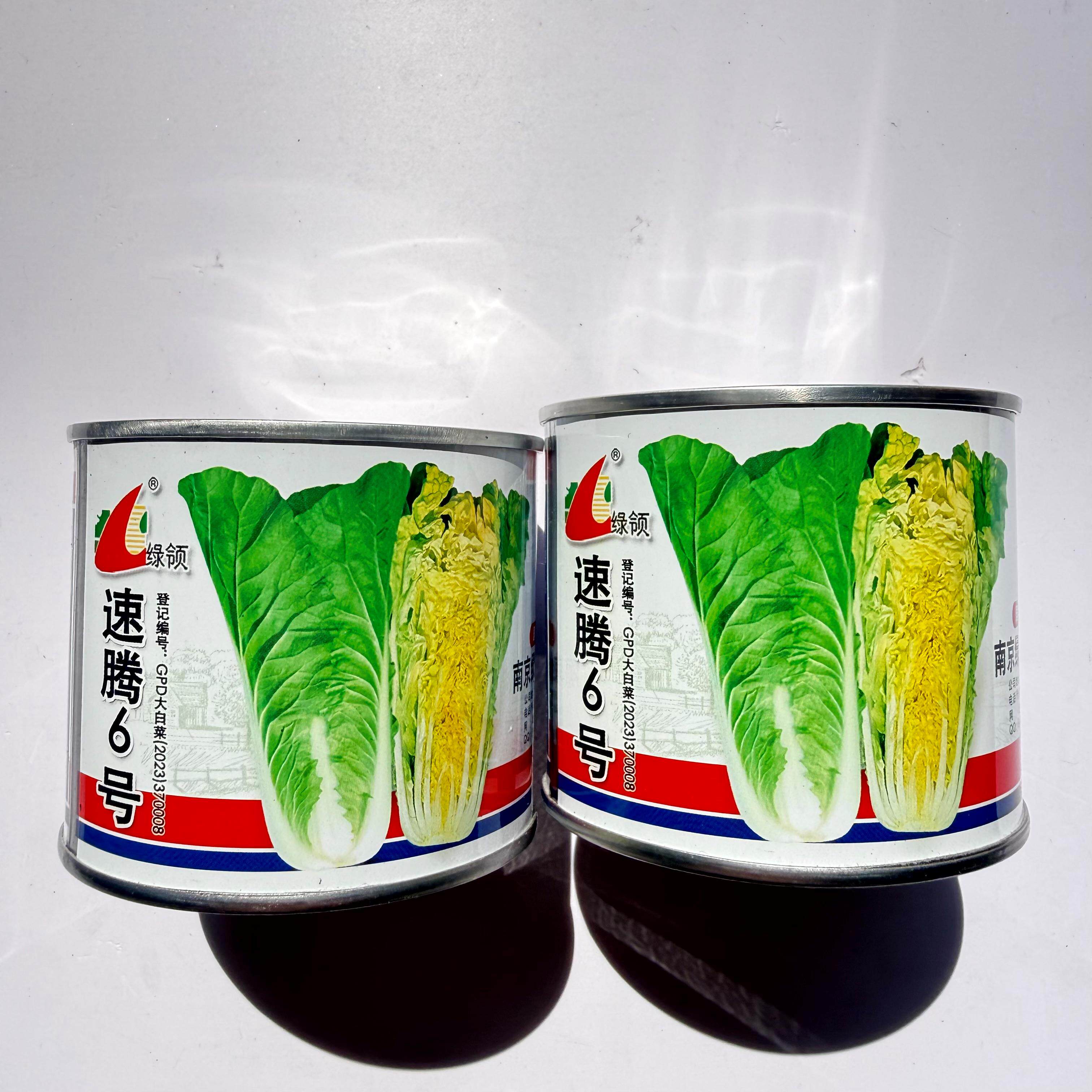 速腾6号快菜种子杂交抗病