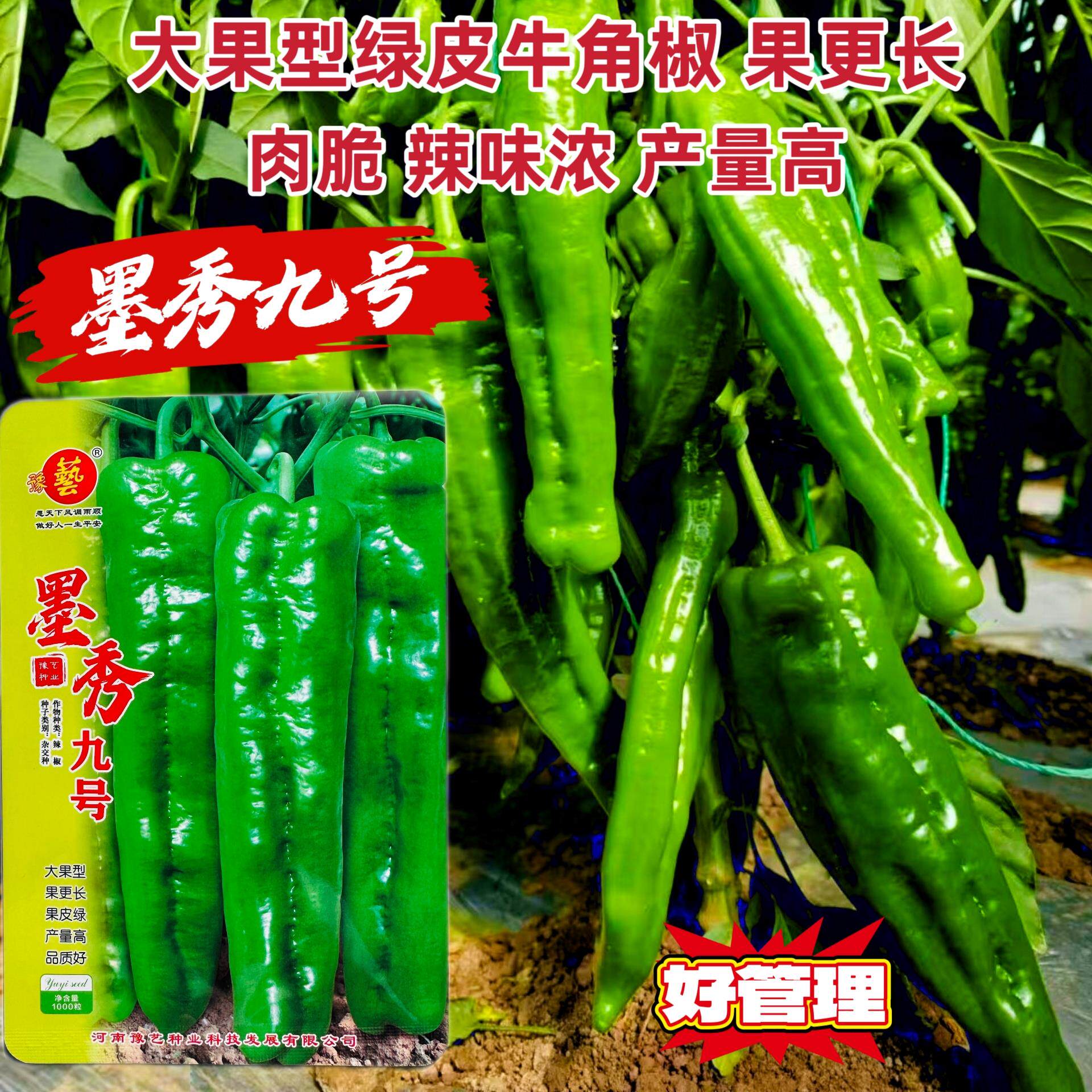 豫艺墨秀九号辣椒种子大